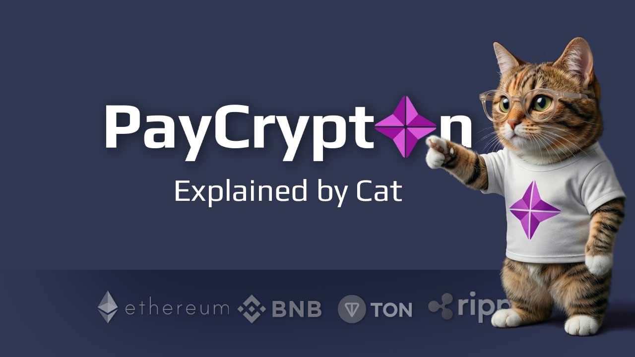 PayCrypton Video